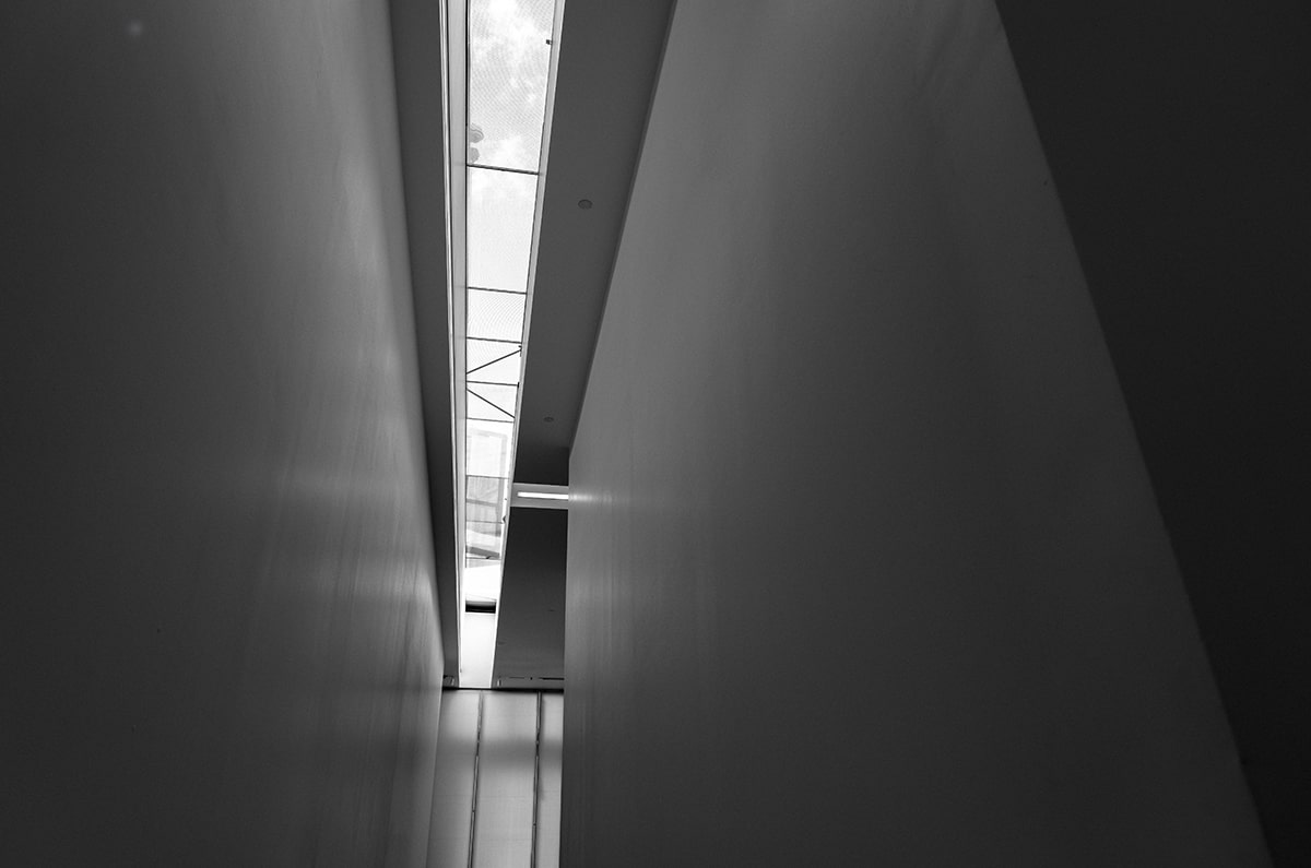 关于蘑菇影视的版权意识提问法：判断框架，小蘑菇影视化的版权