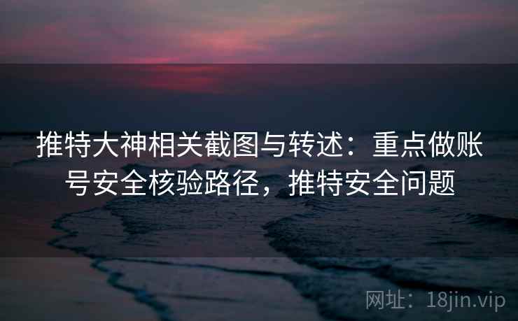 推特大神相关截图与转述：重点做账号安全核验路径，推特安全问题