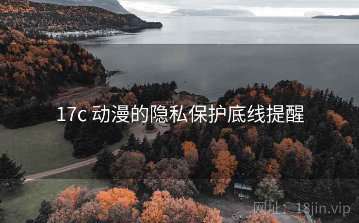 17c 动漫的隐私保护底线提醒