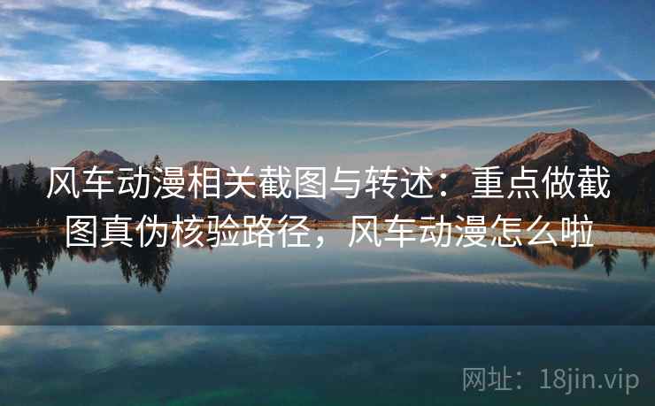 风车动漫相关截图与转述：重点做截图真伪核验路径，风车动漫怎么啦