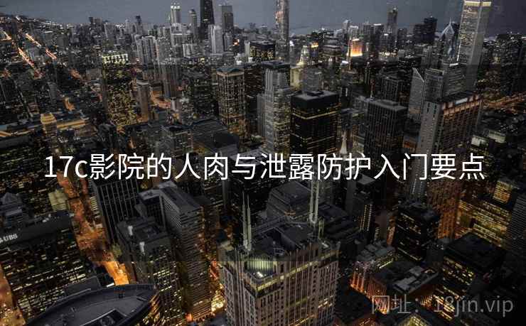 17c影院的人肉与泄露防护入门要点