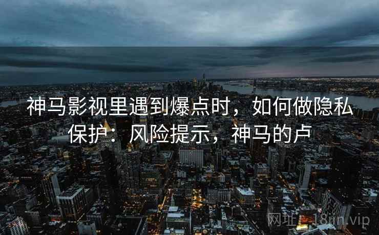 神马影视里遇到爆点时，如何做隐私保护：风险提示，神马的卢