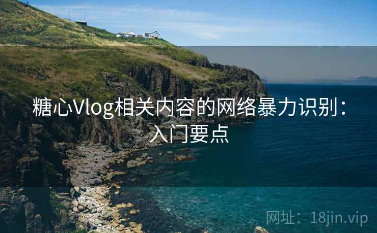 糖心Vlog相关内容的网络暴力识别：入门要点