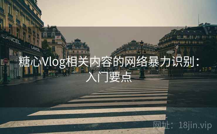 糖心Vlog相关内容的网络暴力识别：入门要点