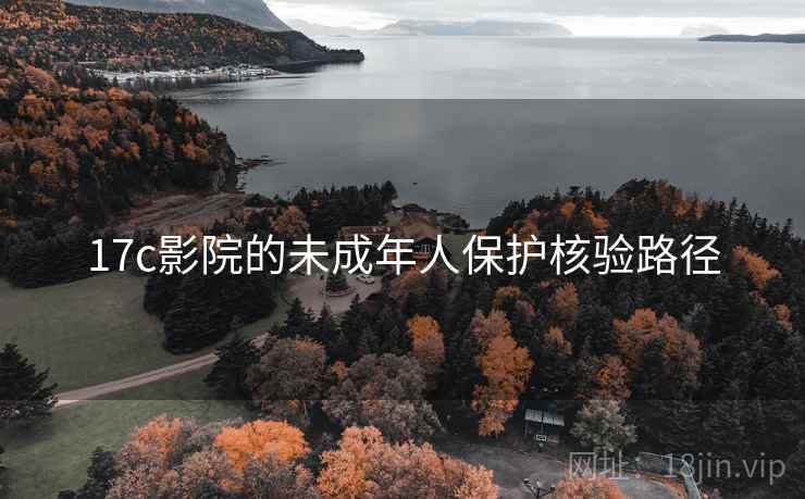 17c影院的未成年人保护核验路径 17c影院的未成年人保护核验路径