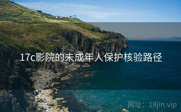 17c影院的未成年人保护核验路径
